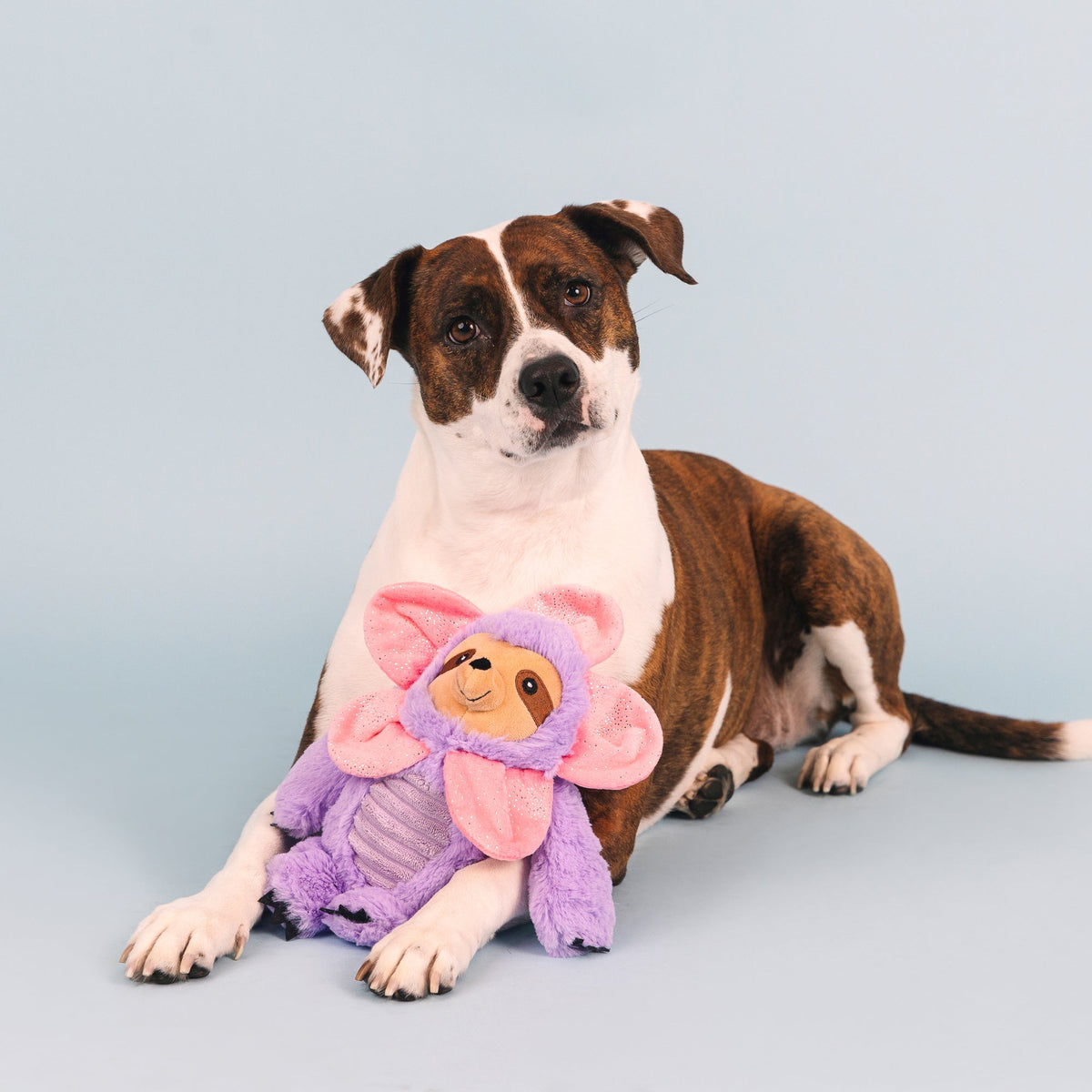 Fringe Studio Plush Squeaker Dog Toy - I'll Grow on You — detail
