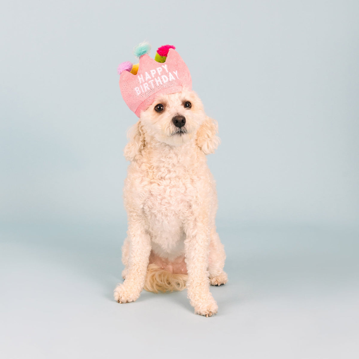 Fringe Studio Plush Squeaker Dog Toy - If The Crown Fits — detail