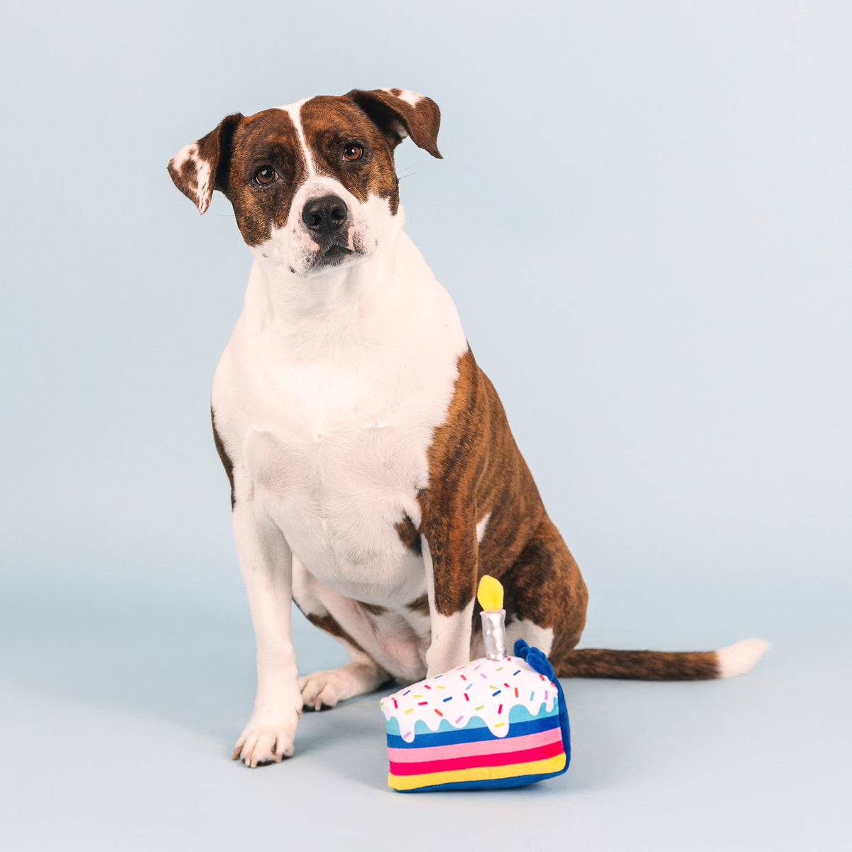 Fringe Studio Plush Squeaker Dog Toy - Cake It Easy — detail
