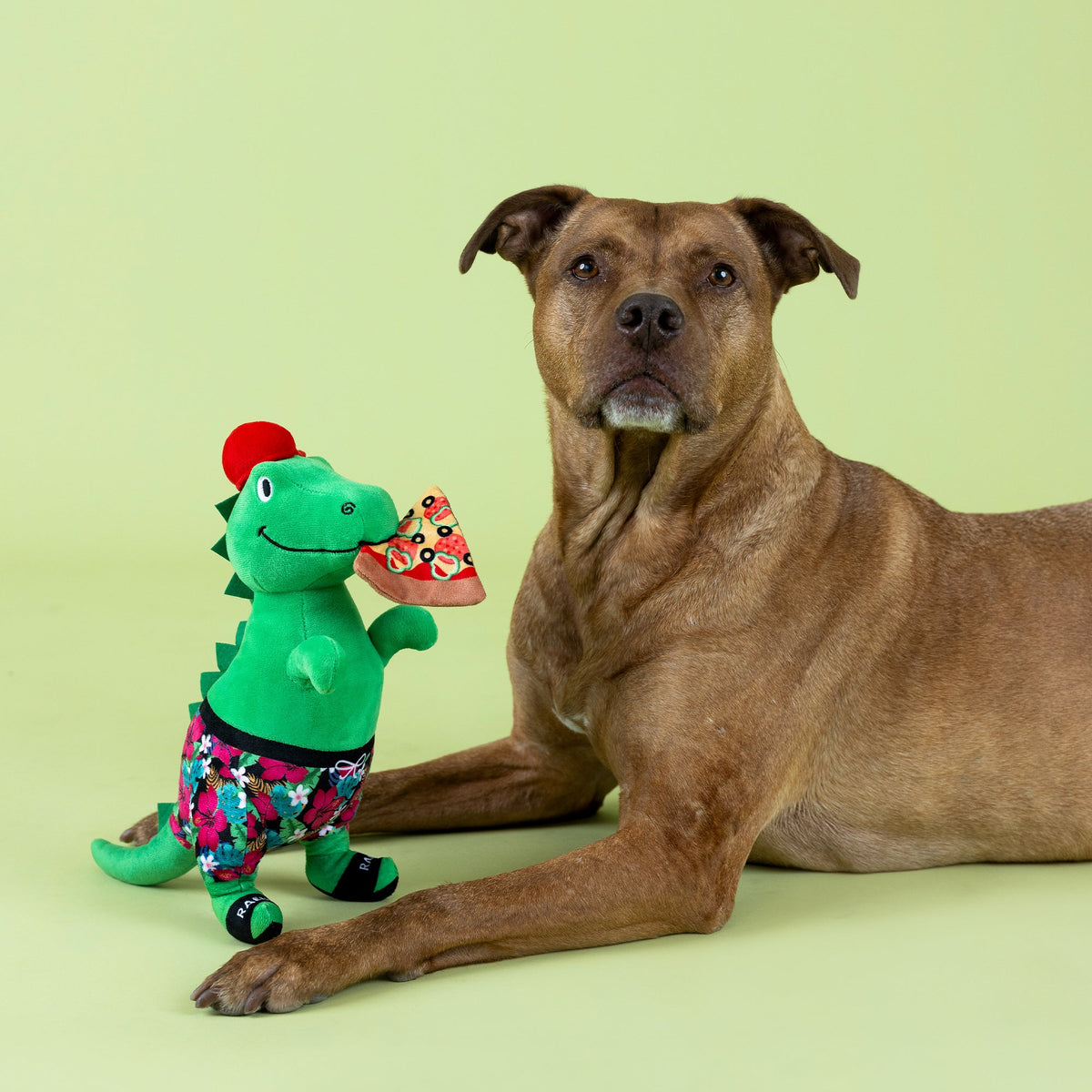Fringe Studio Large Plush Dog Toy - Pizzasaurus Rex — detail