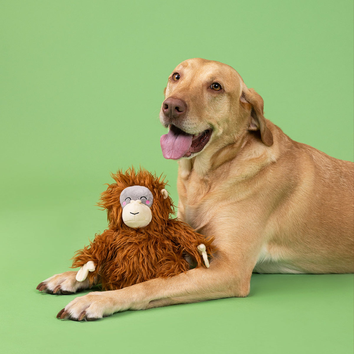 Fringe Studio Plush Squeaker Dog Toy - Oranga Hug — lifestyle photo with dog