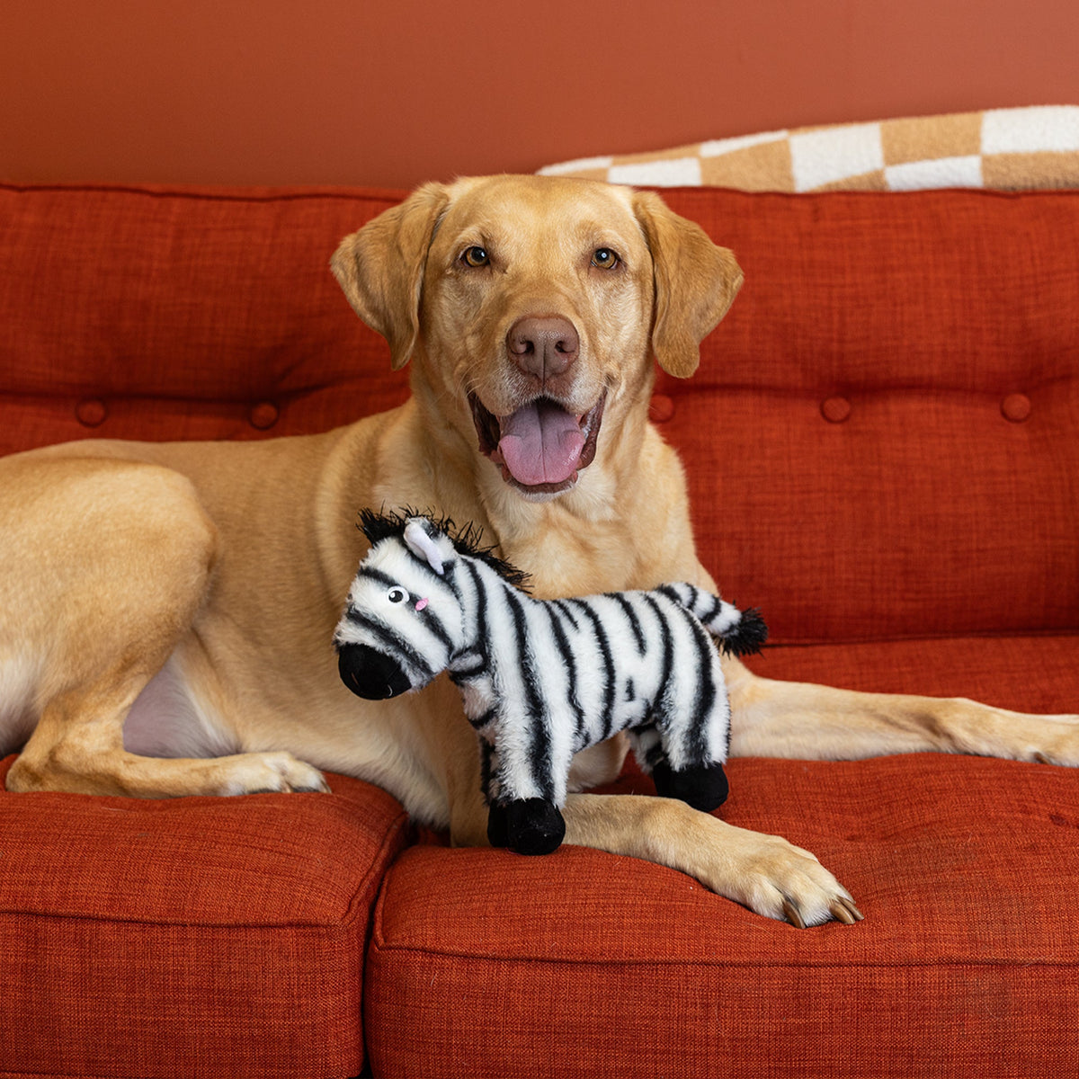 Fringe Studio Plush Squeaker Dog Toy - I'm Stripe-Tacular — lifestyle photo with dog
