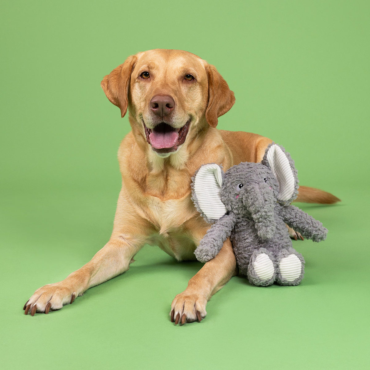 Fringe Studio Plush Squeaker Dog Toy - Love You A Ton — lifestyle photo with dog