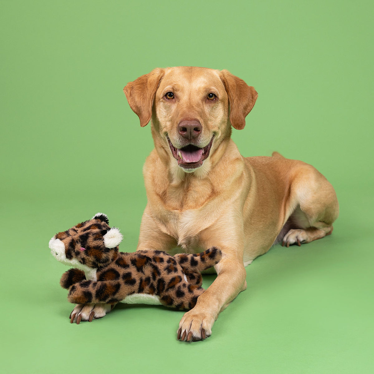 Fringe Studio Plush Squeaker Dog Toy - You're Spot on — lifestyle photo with dog