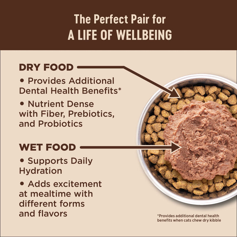 Wellness Core Dry Cat Food Grain Free Indoor: Chicken & Turkey