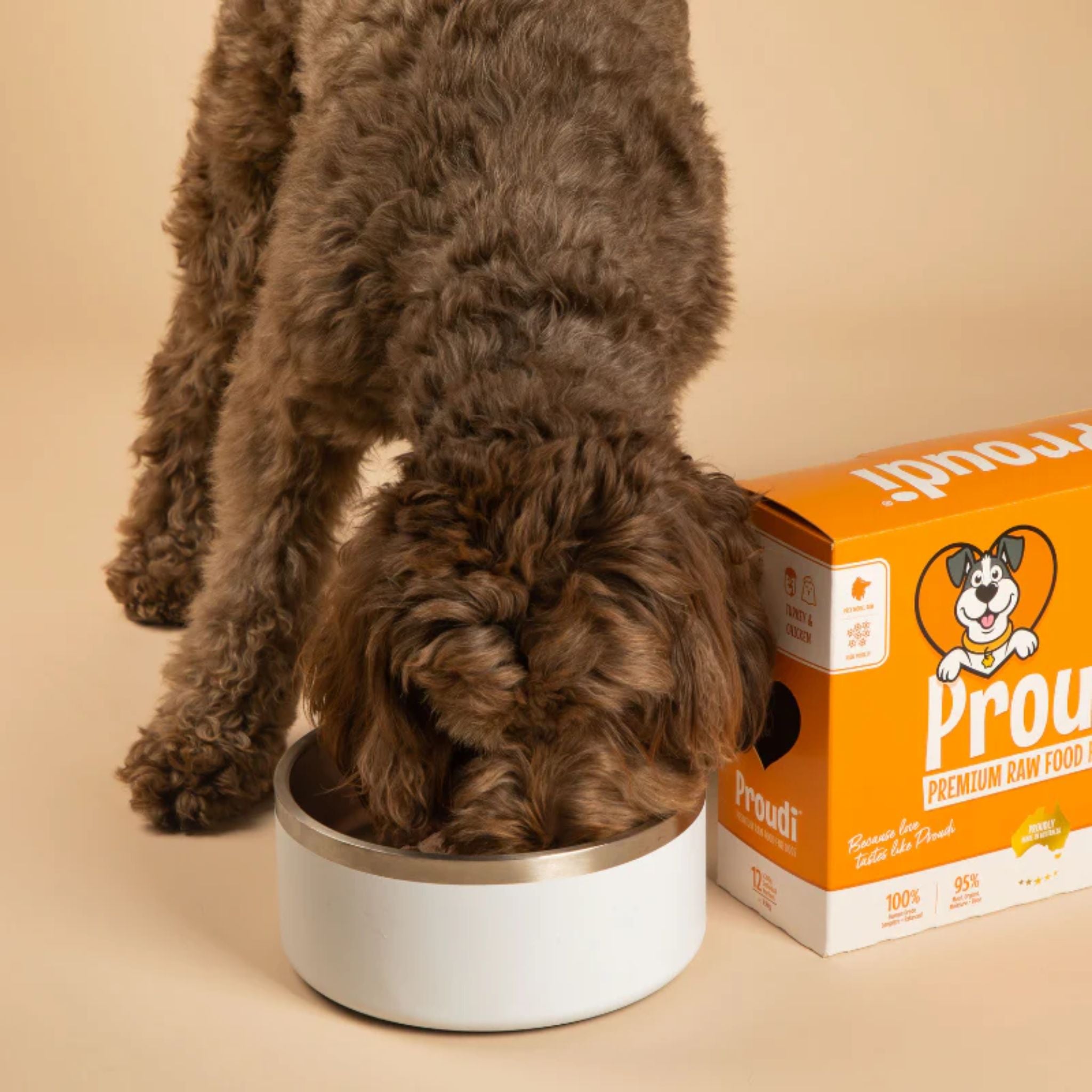 Proudi Turkey and Chicken Raw Patties for Dogs