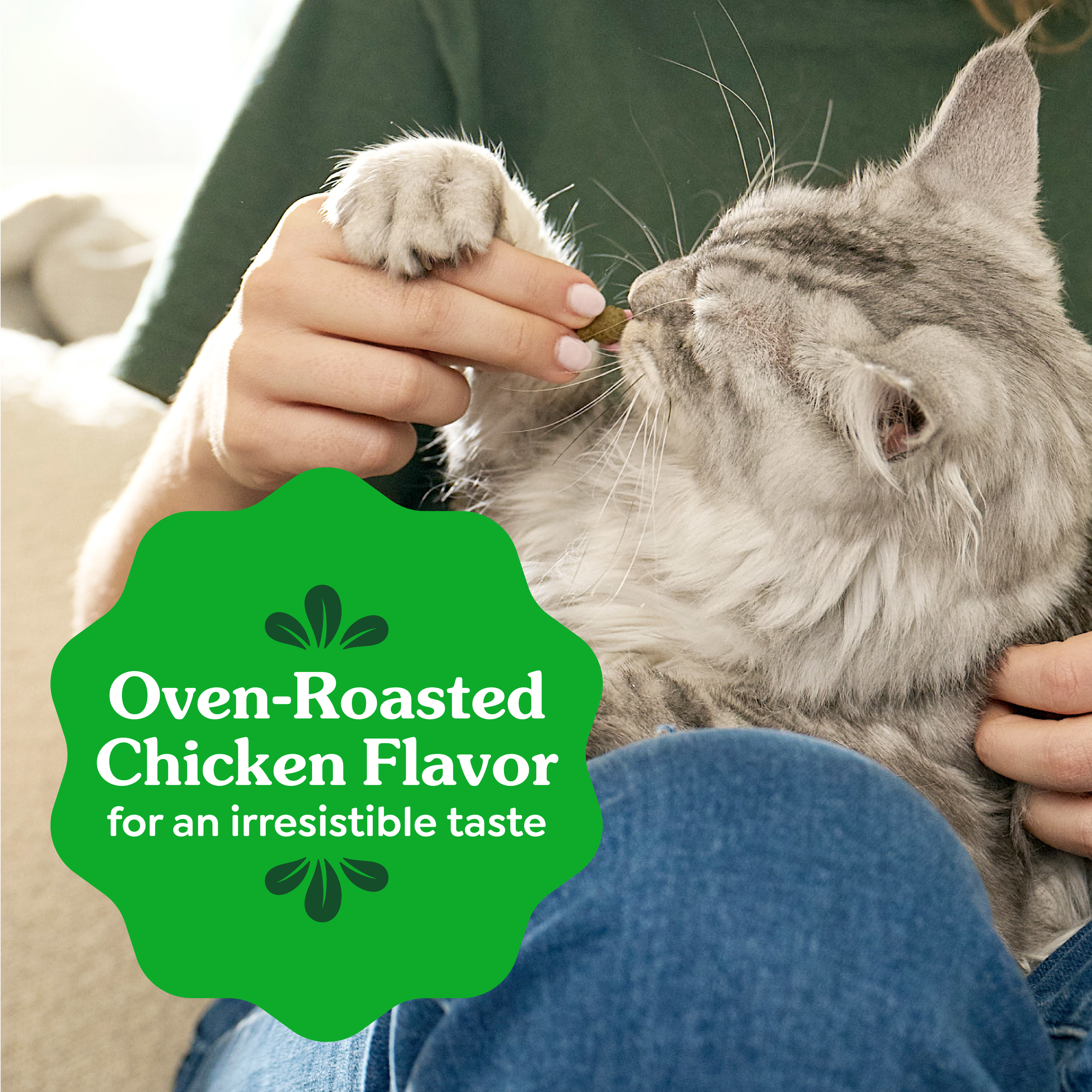 GREENIES Feline Dental Cat Treat Oven-Roasted Chicken Flavour product detail 7