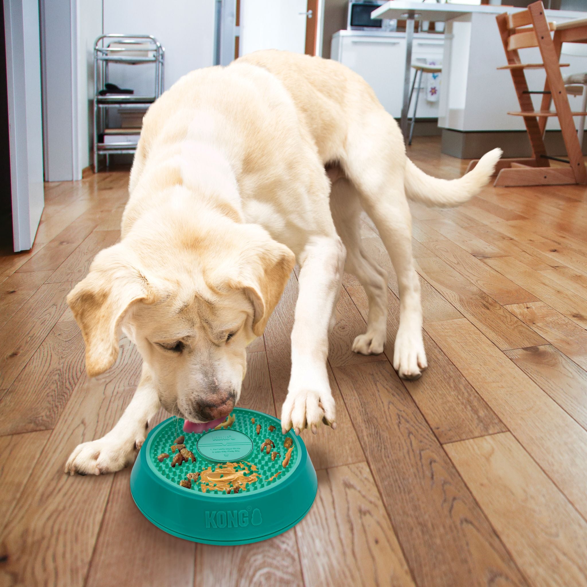 KONG Licks Spinz Pet Treat Dispenser