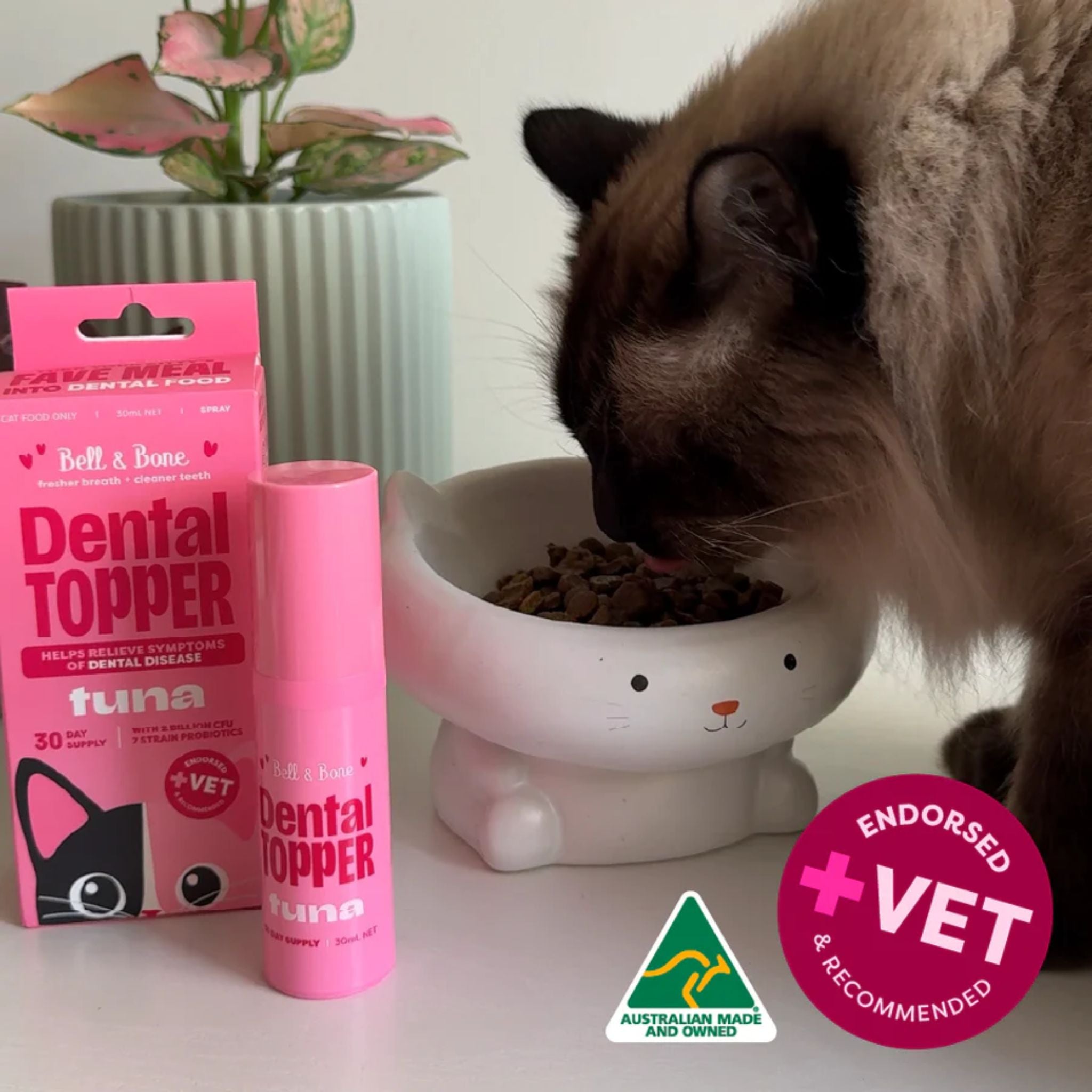 Bell and Bone Cat Dental Topper - Tuna