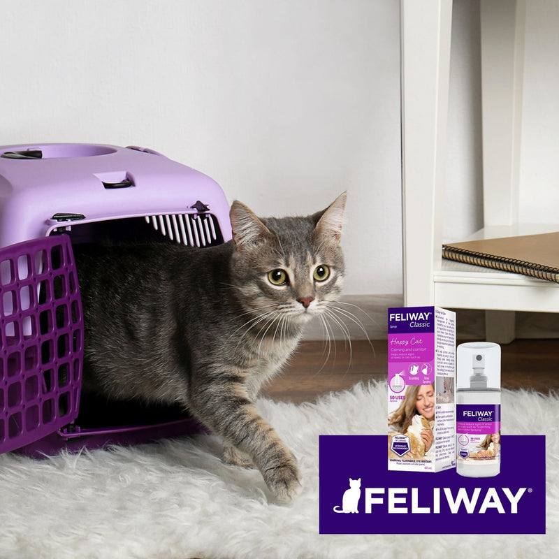 Feliway Refill