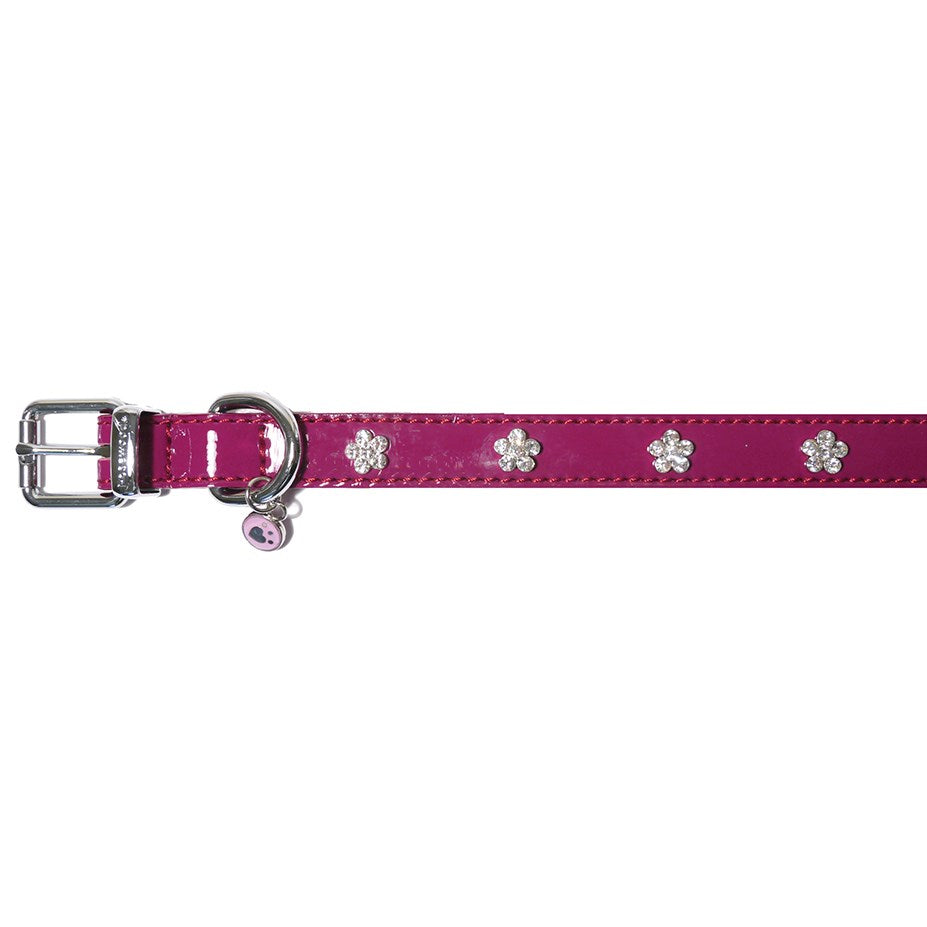 Rosewood Wag 'n' Walk Damson Dog Collar