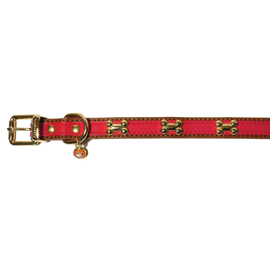 Rosewood Wag 'n' Walk Signal Dog Collar