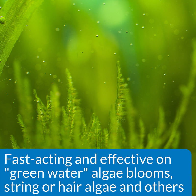 API Algaefix Algae Control Aquarium Solution
