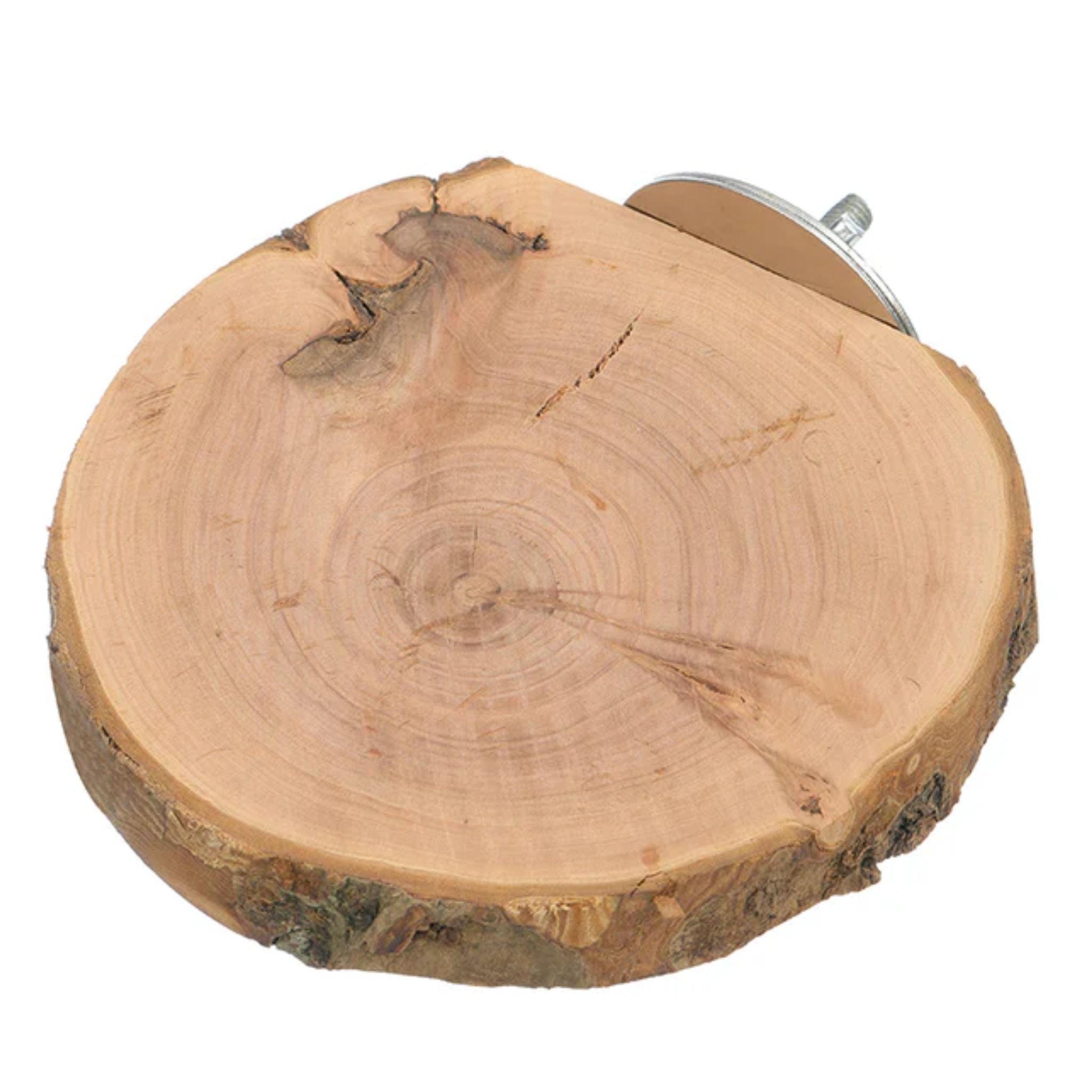 Beak Joy Birdie Apple Wood Platform