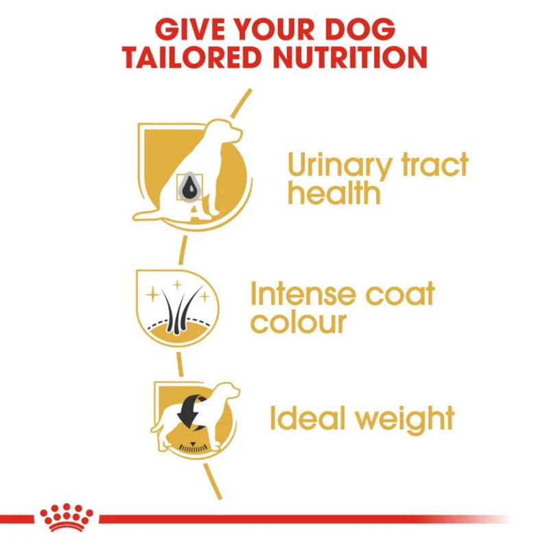 Royal Canin Miniature Schnauzer