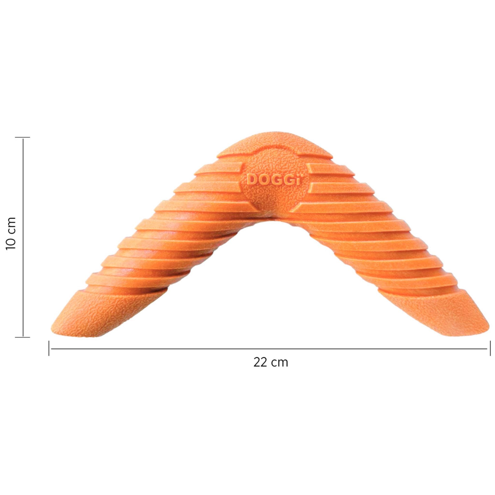 Doggi Boomerang Catch & Carry Dog Toy