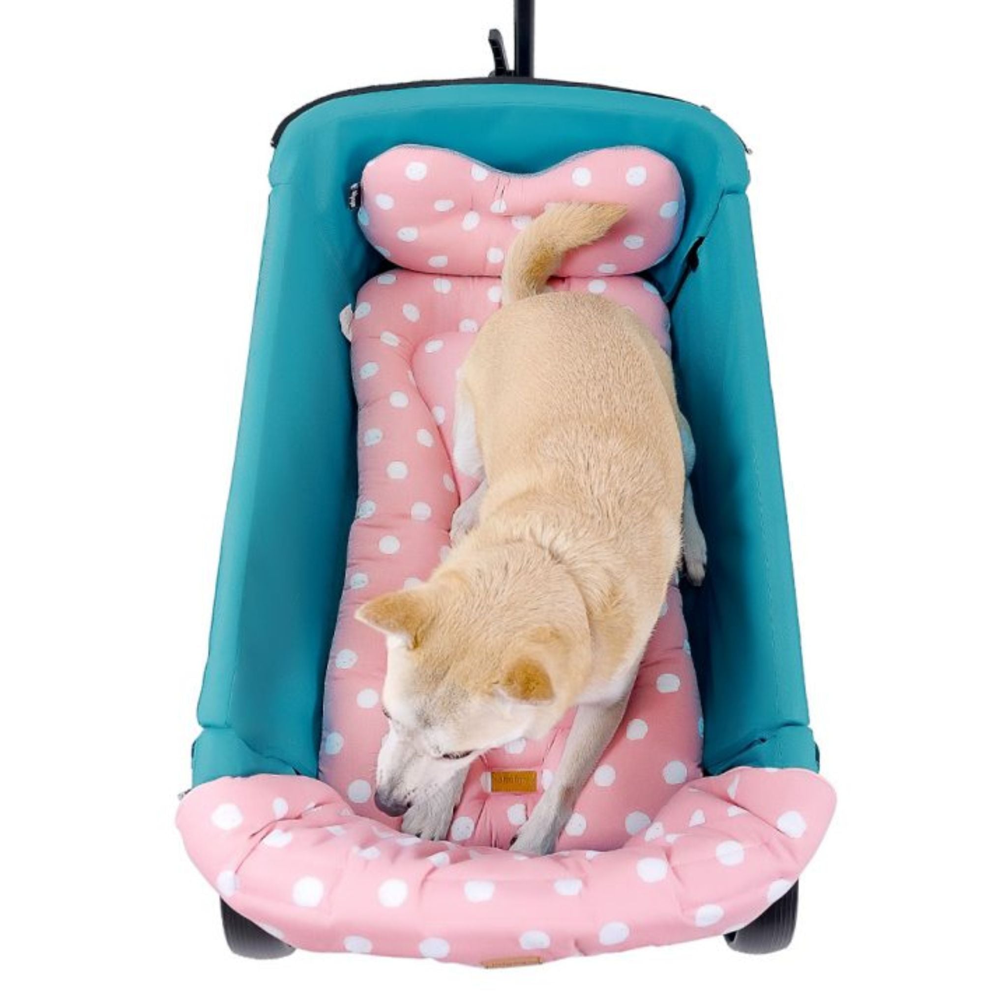Ibiyaya The Comfort Pet Stroller Add-On kit | PeekAPaw Pet Supplies