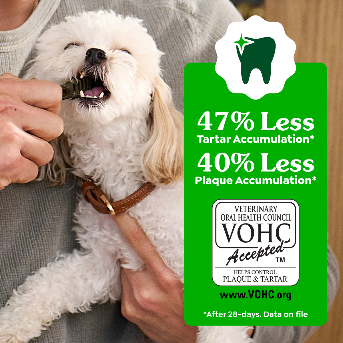A dog taking a GREENIES chew, with the VOHC seal and tartar and plaque reduction claims