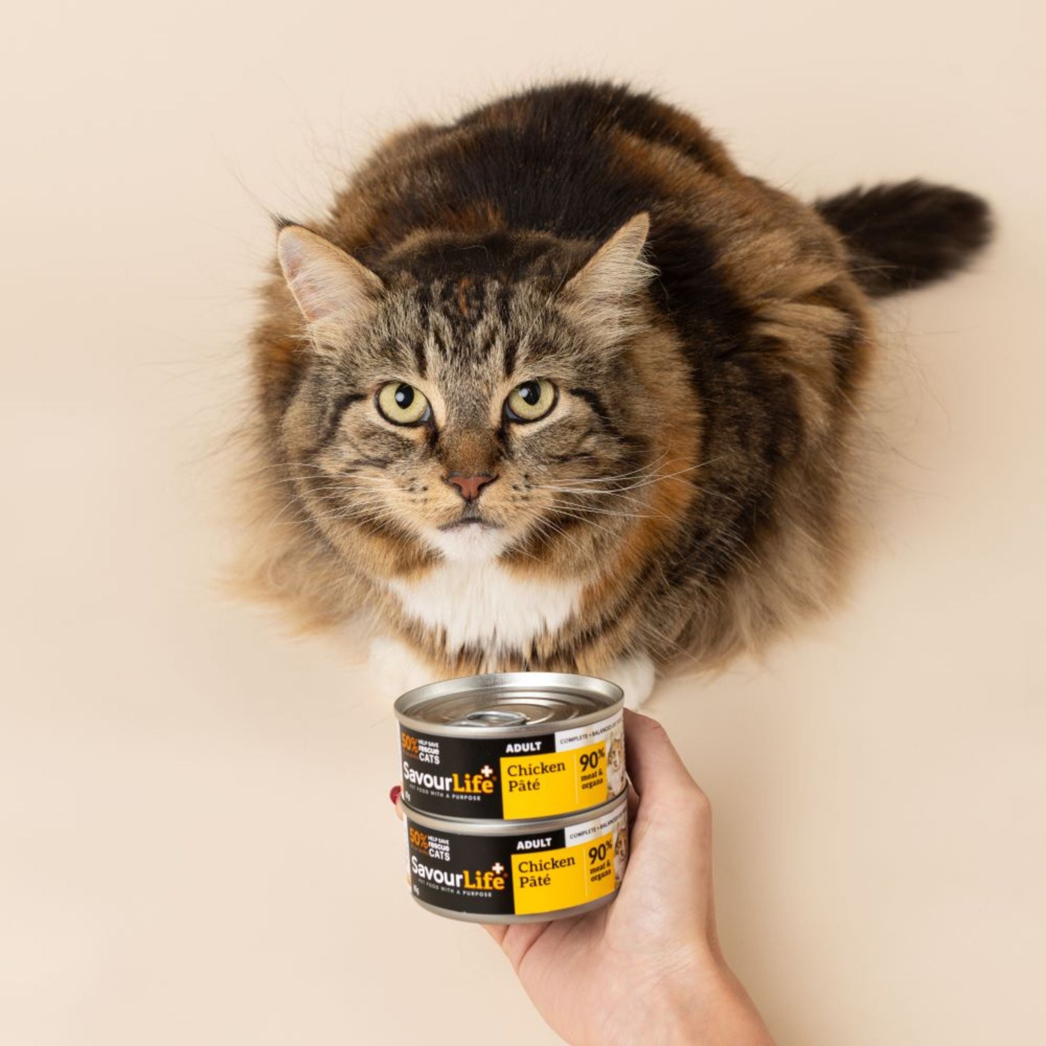 SavourLife Adult Chicken Pate Wet Cat Food