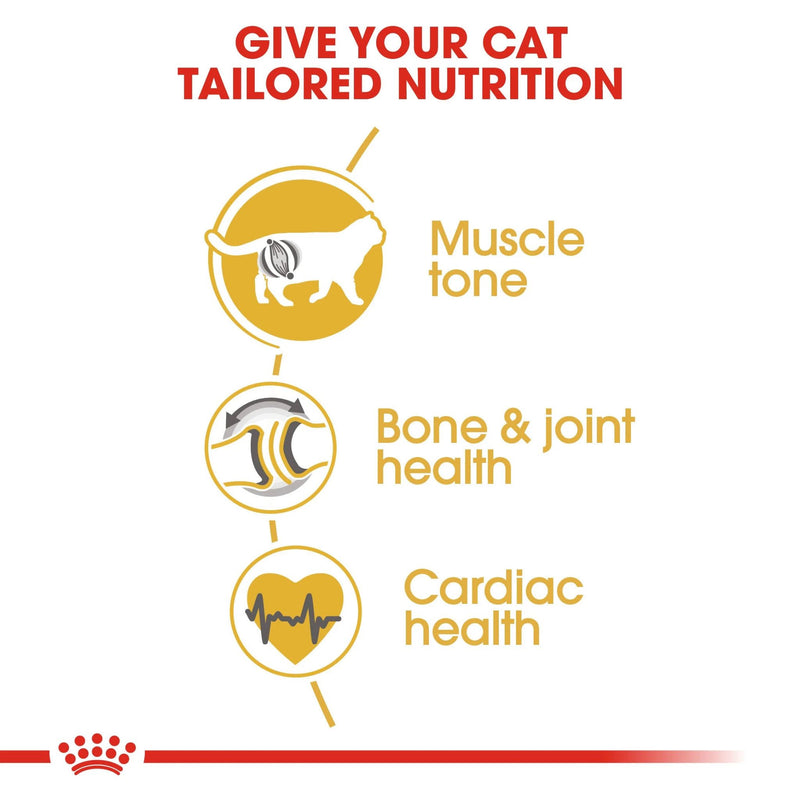 Royal Canin British Shorthair Adult Dry Cat Food