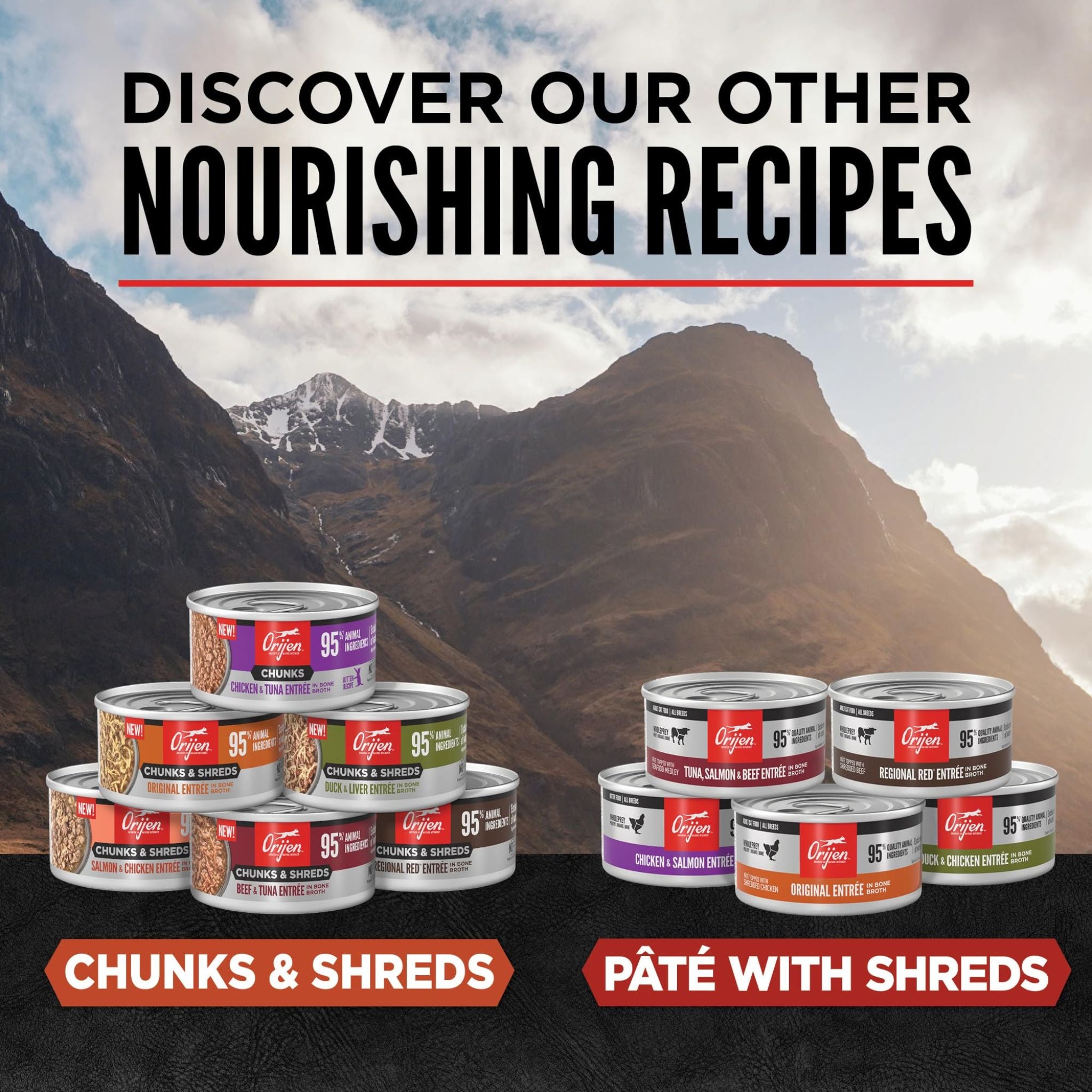 Orijen Wet Cat Food Chunks & Shreds Salmon and Chicken Entree