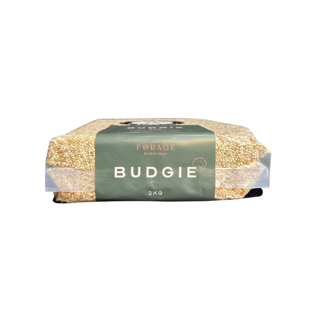 Forage Everyday Bird Seeds Budgie  | PeekAPaw Pet Supplies