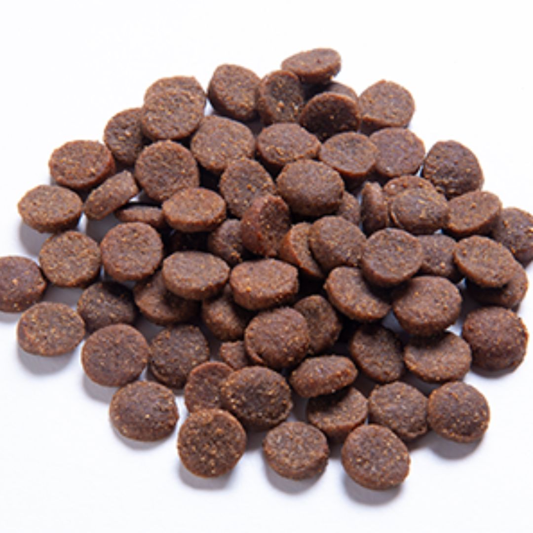 Blackdog Adult Dry Dog Food Gluten Free Lamb, Rice & Vegetable  | PeekAPaw Pet Supplies