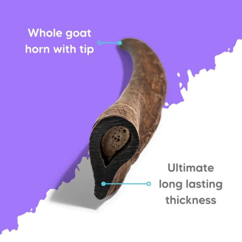 The Pet Project Natural Dog Treats Goat Horn| PeekAPaw Pet Supplies