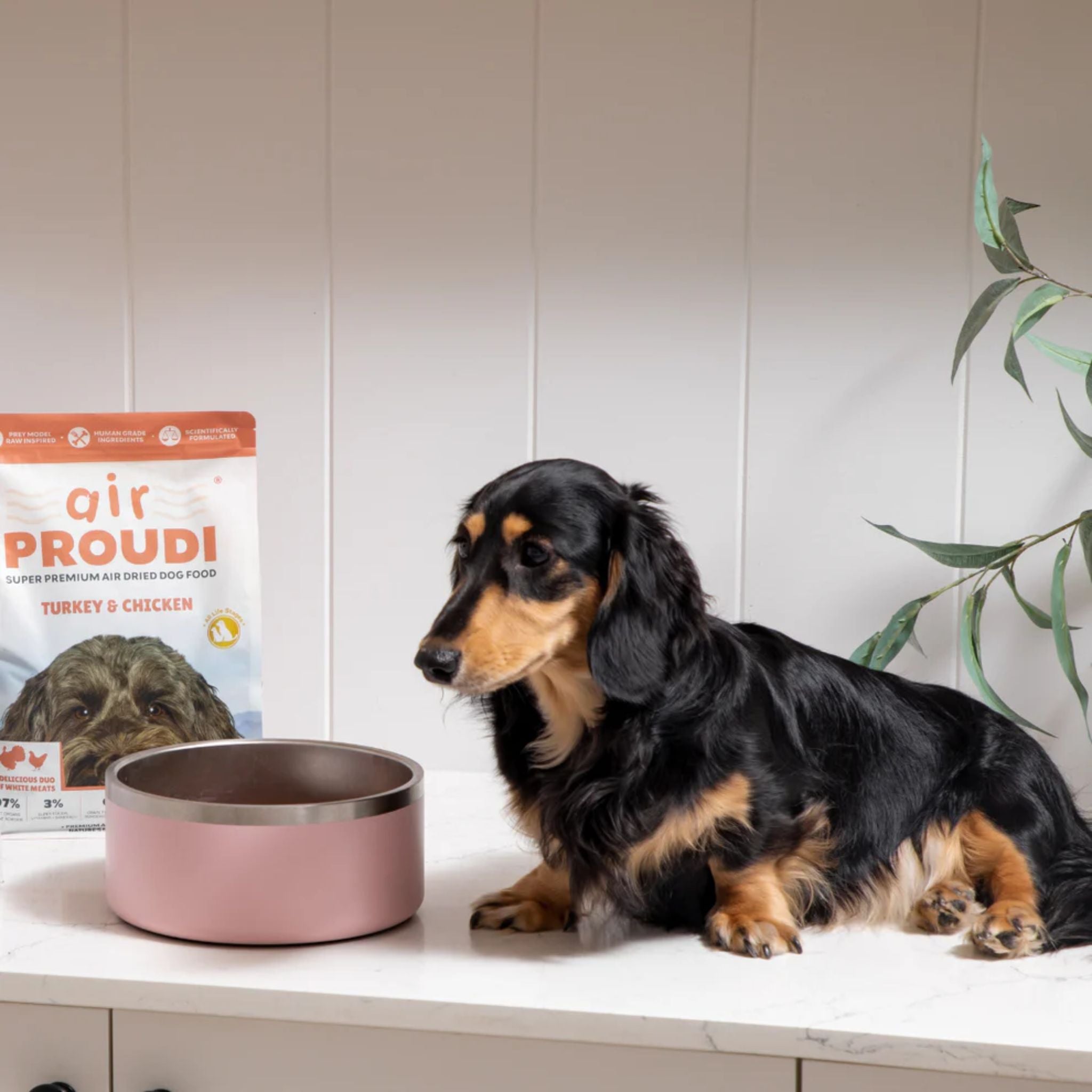 Air Proudi Premium Air Dried Dog Food Turkey & Chicken