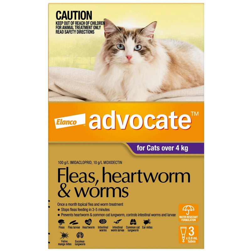 Advocate for Cats over 4Kg Purple 3 Pack | PeekAPaw Pet Supplies