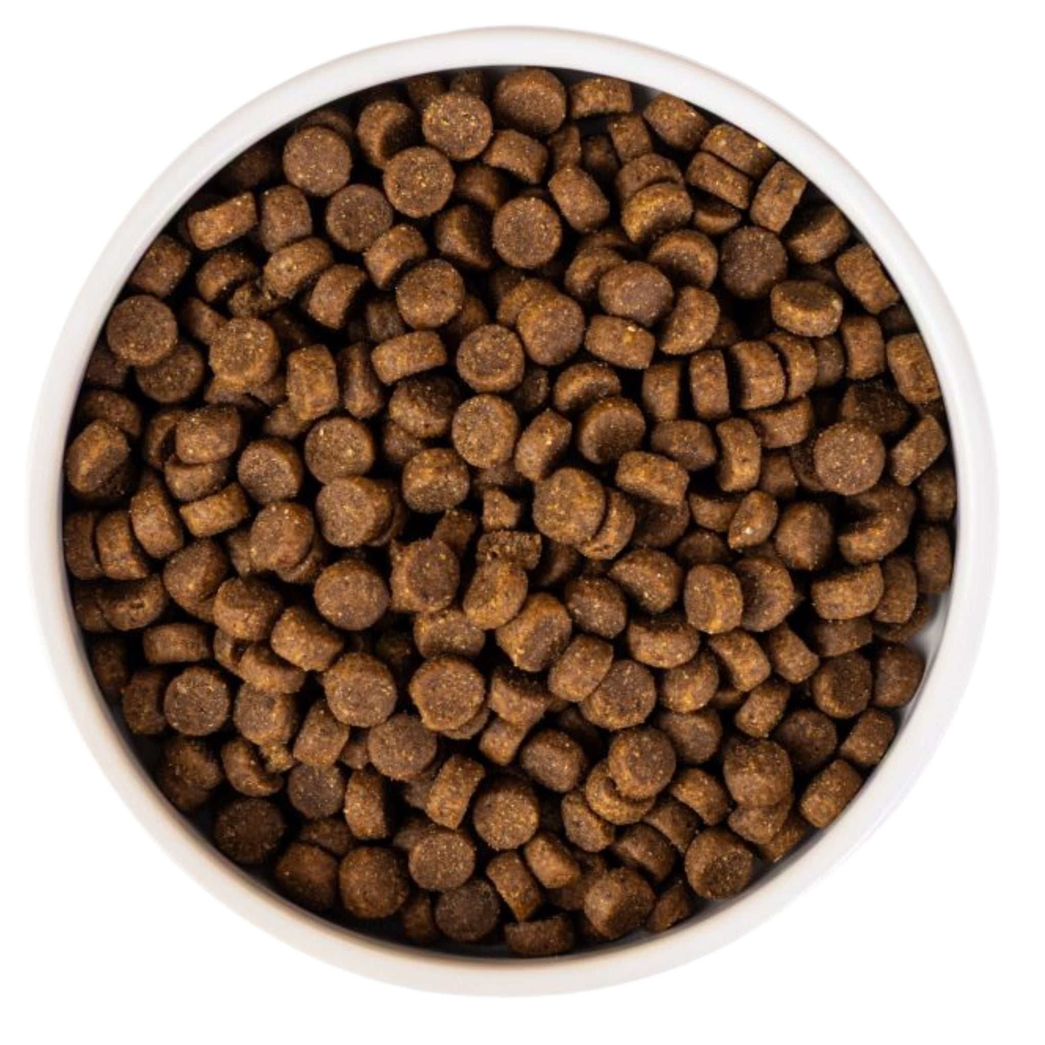 SavourLife Adult Ocean Fish Dry Cat Food