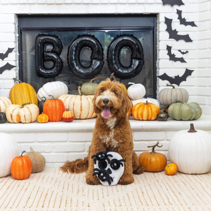 Fringe Studio Halloween Plush Squeaker Dog Toy - Skull Burrow + 3 Spiders  | PeekAPaw Pet Supplies