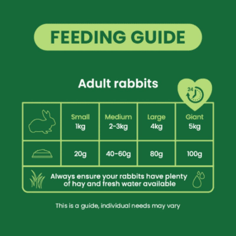 Burgess Excel Rabbit Nuggets Mint | PeekAPaw Pet Supplies