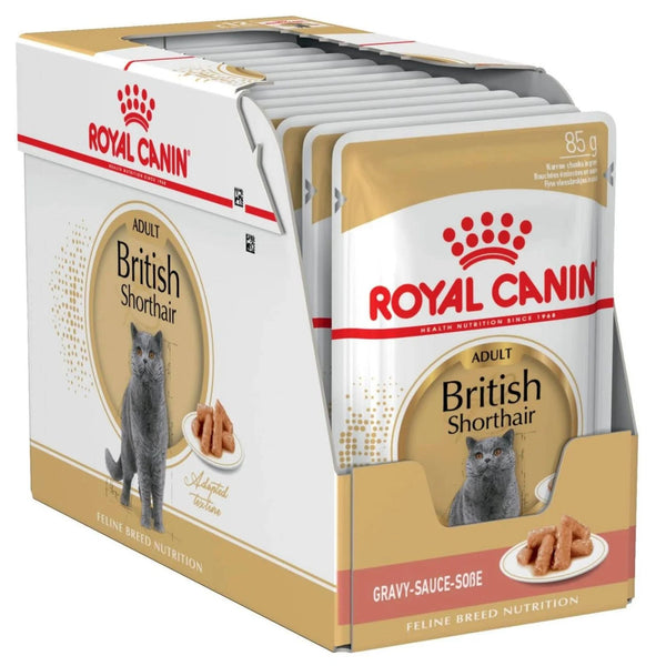Royal Canin Wet Cat Food British Shorthair Gravy