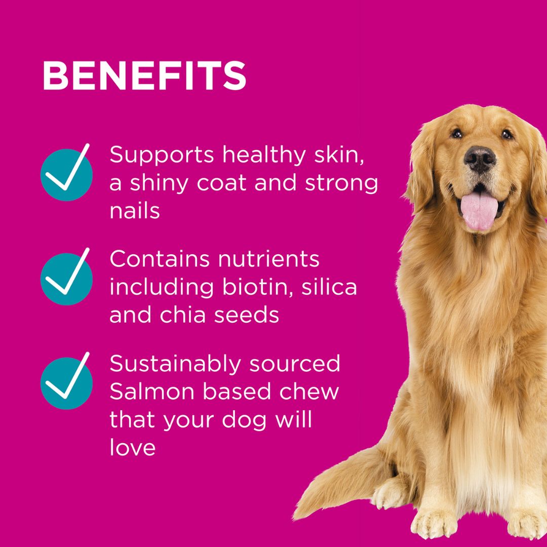 PAW by Blackmores Coat, Skin + Nails Multivitamin Chews
