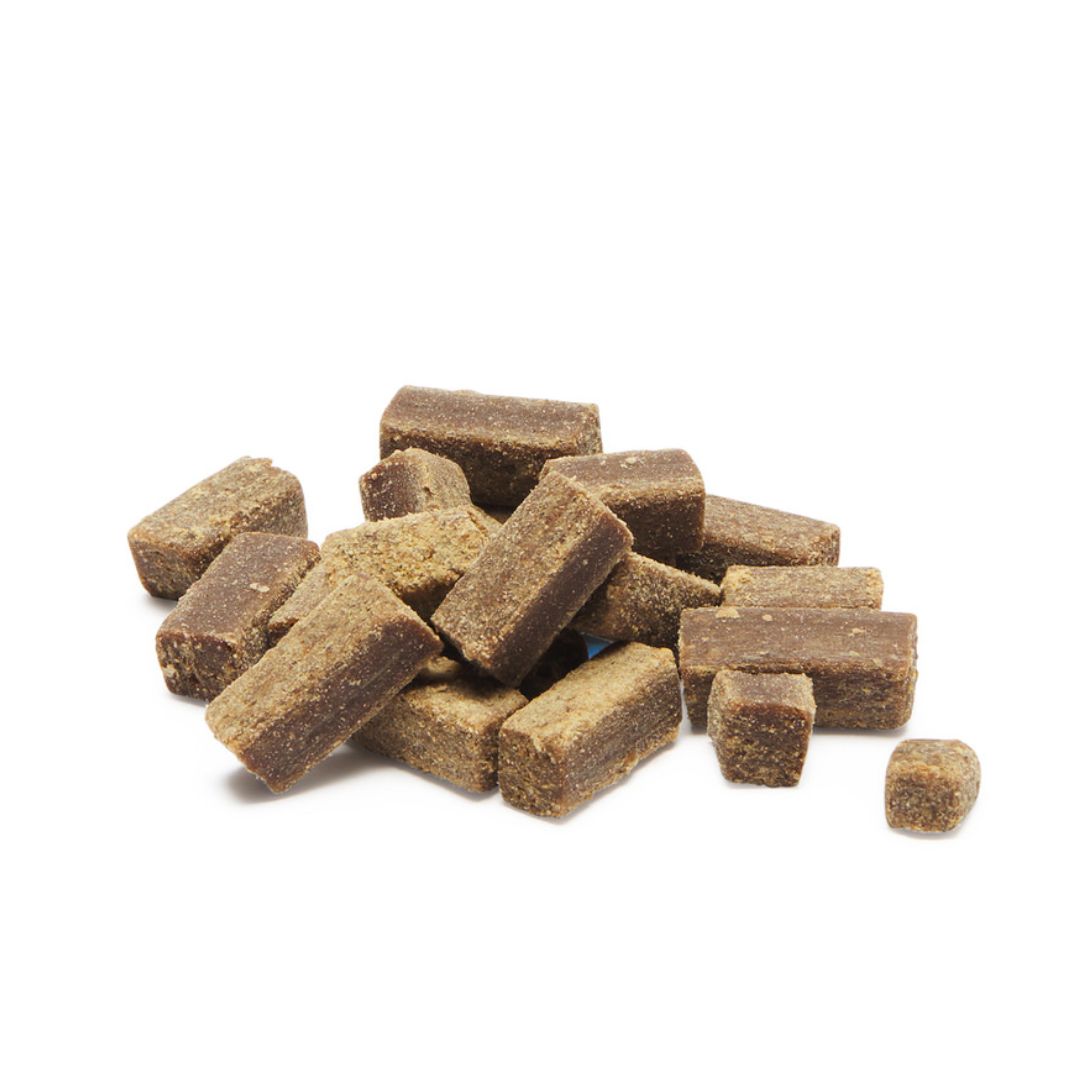 Bark & Beyond Roo Trainers  | PeekAPaw Pet Supplies