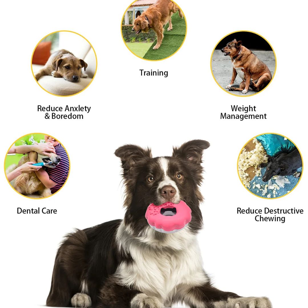 Petopia Ultra Tough Dog Toy Mochi Donut - Default Title | PeekAPaw Pet Supplies