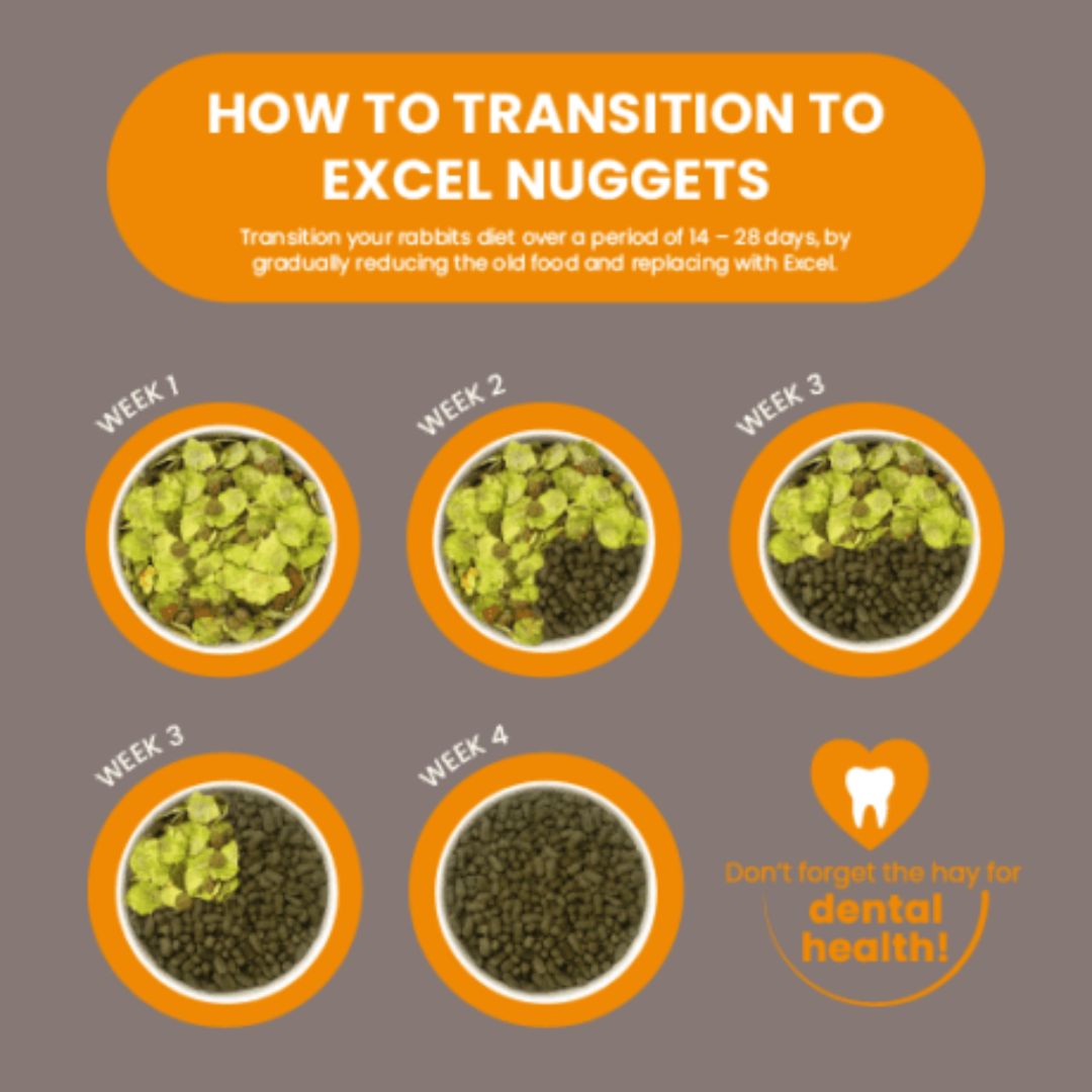 Burgess Excel Indoor Rabbit Nuggets | PeekAPaw Pet Supplies