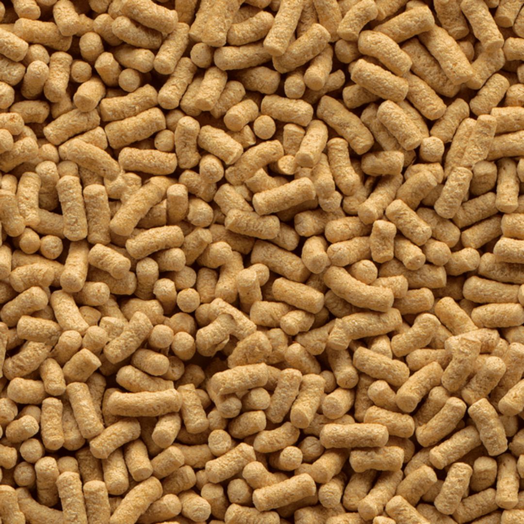 Tetra Pond Sticks