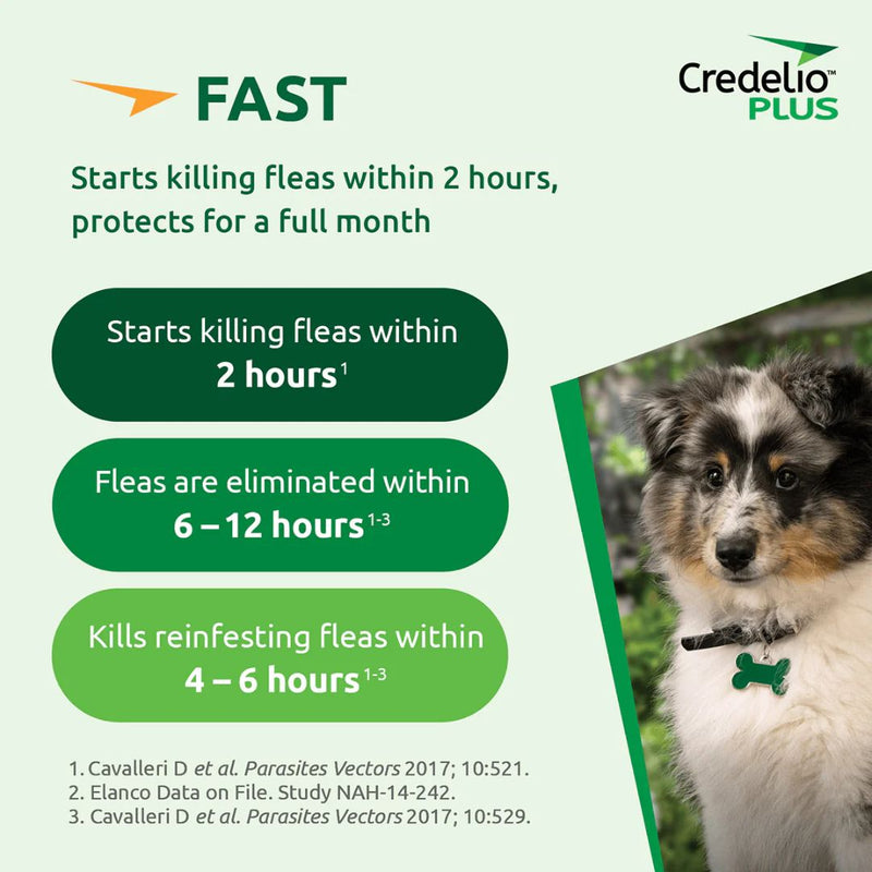 Credelio Plus for Small Dogs 2.8-5.5kg| PeekAPaw Pet Supplies