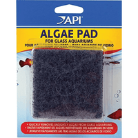 API hand held algae pad for glass aquariums, front of pack