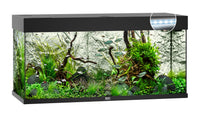 Juwel RIO 180L aquarium with black trim, planted with driftwood and stem plants