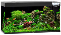 Juwel RIO 350L aquarium with black trim, densely planted with rock and driftwood