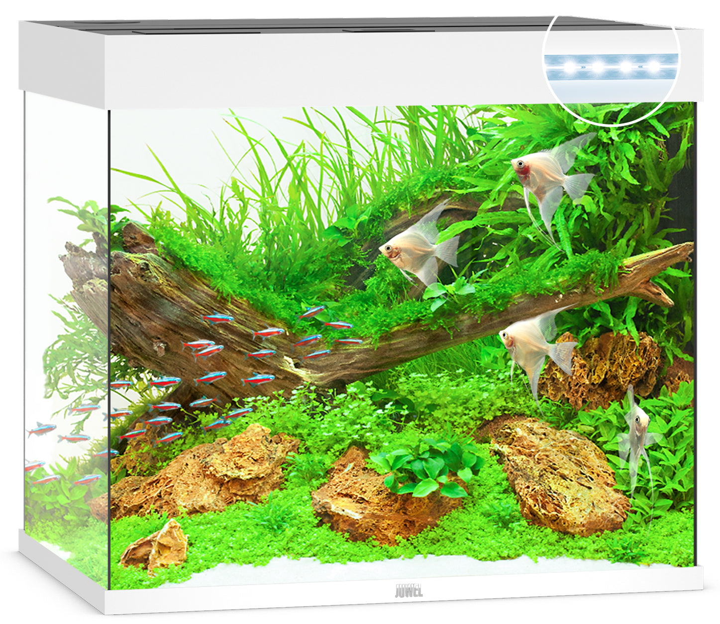 Juwel Lido LED Aquarium 200L