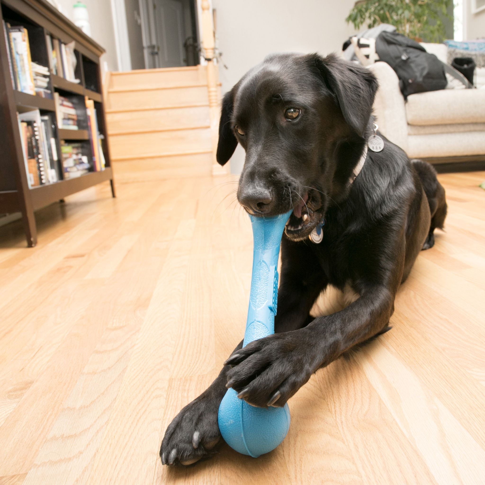 KONG SqueakStix Dog Toys