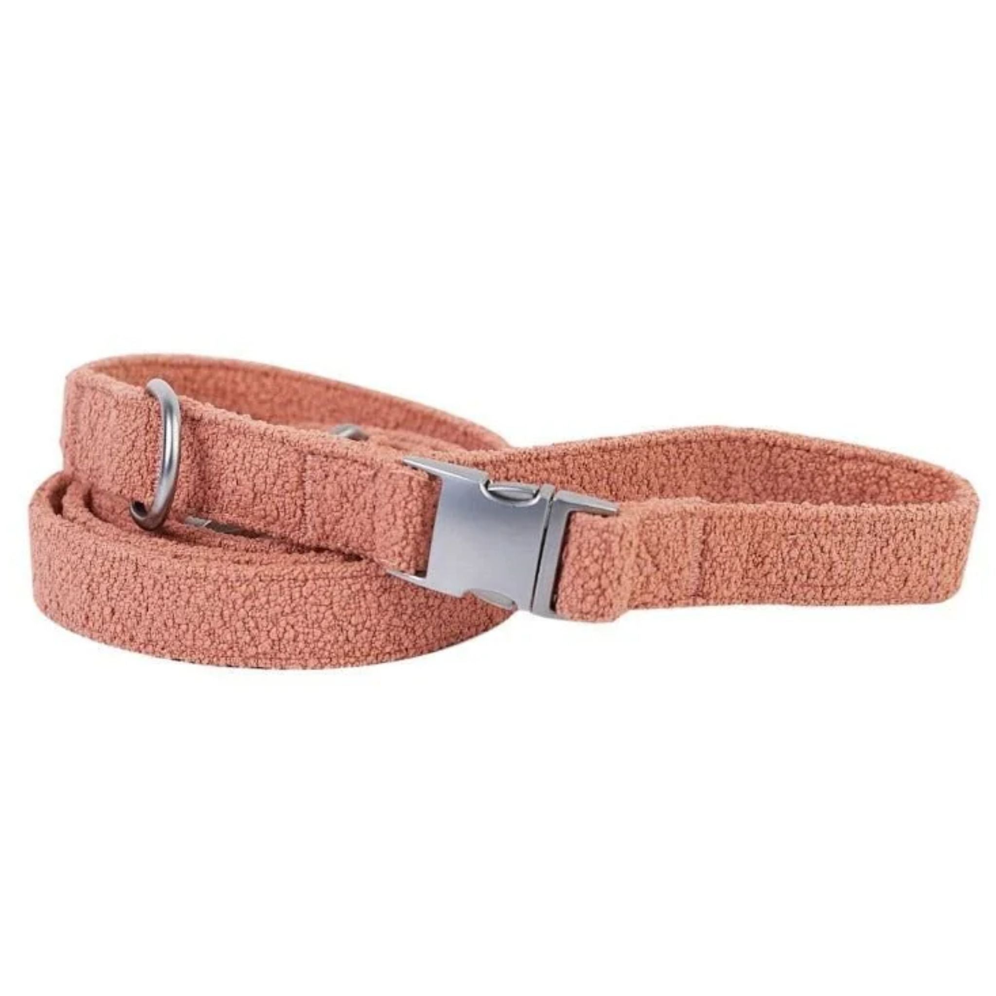 Lilly and Dash Dog Leash