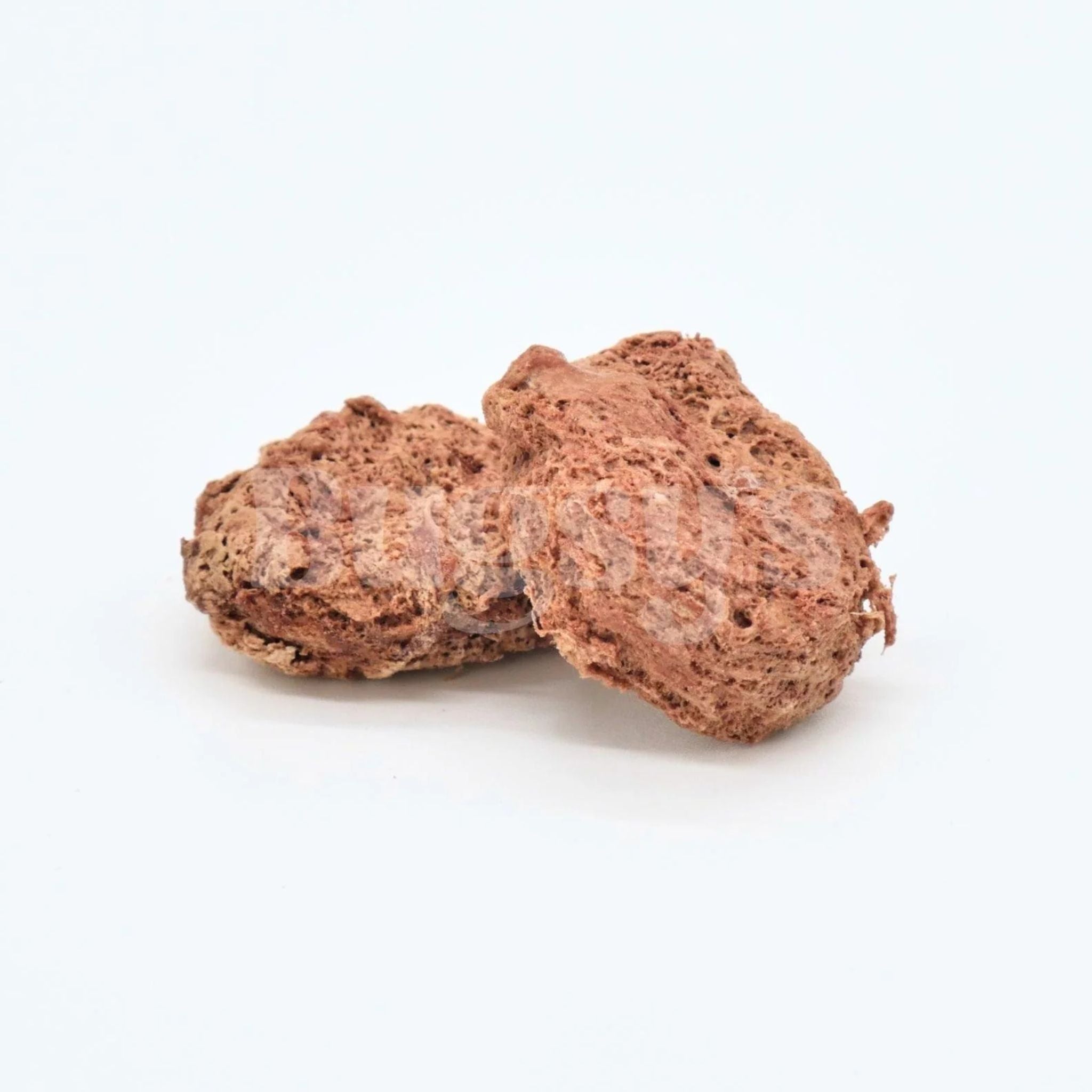 Bugsy's Freeze Dried Kangaroo & Cordyceps Pet Treats