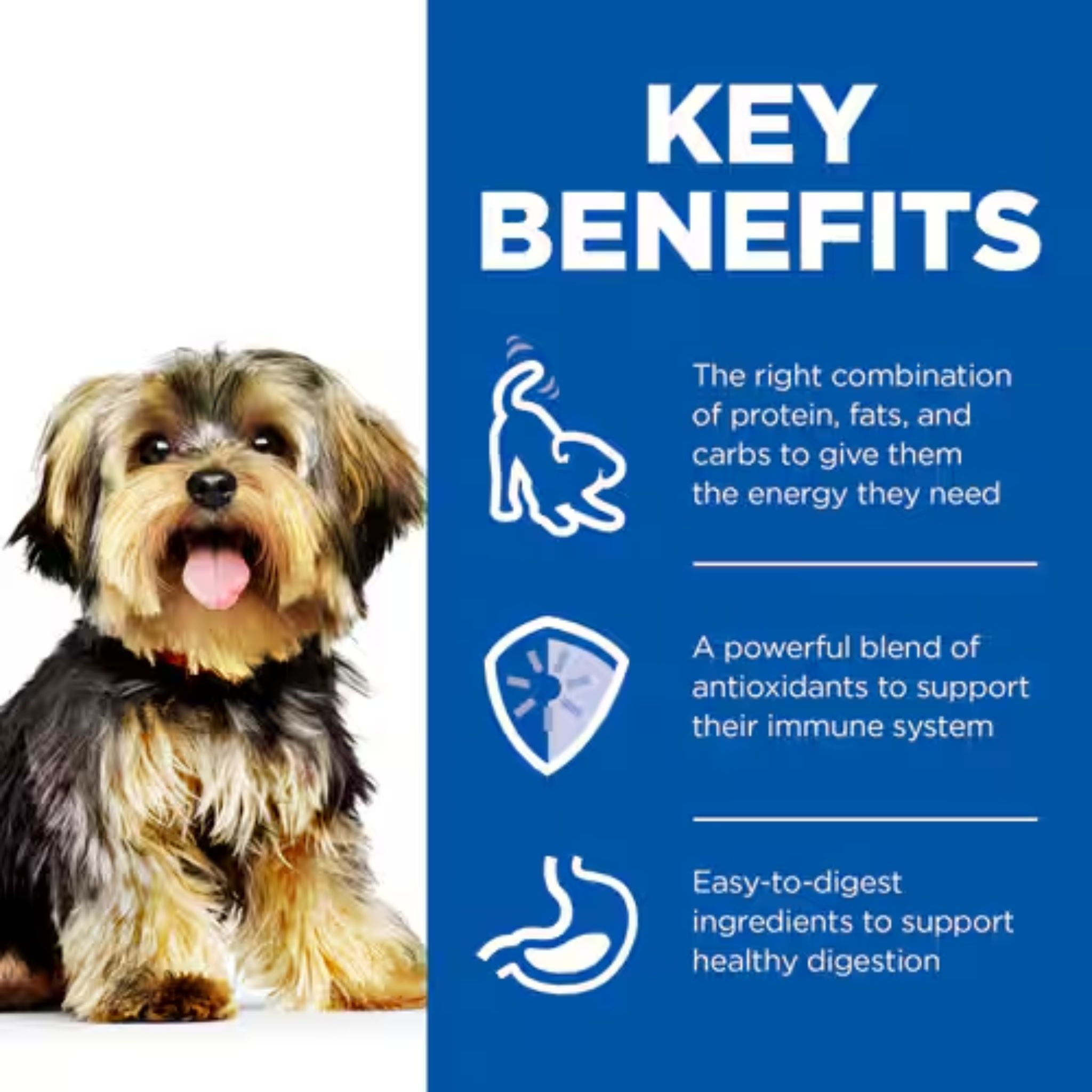 Hill's Science Diet Adult Small & Mini Dog Mousse with Beef