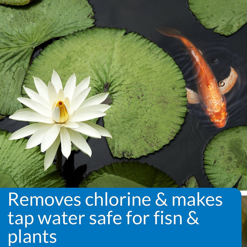 API Pond Care Chlorine And Heavy Metal Detoxifier