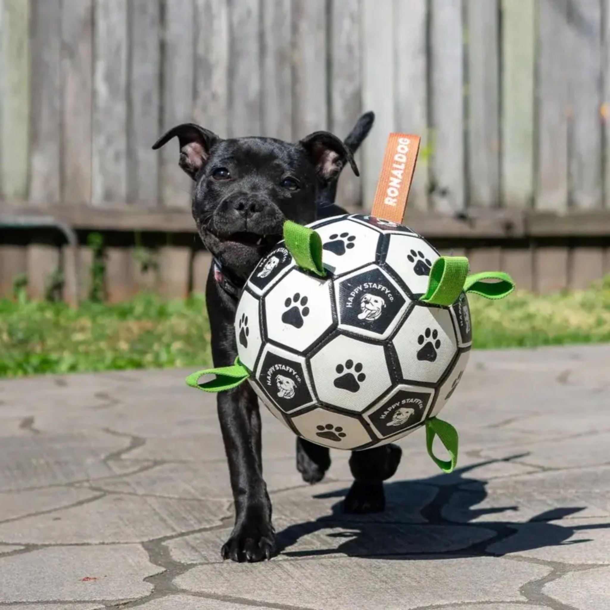 Happy Staffy Co Ronaldog Soccer Ball Dog Toy